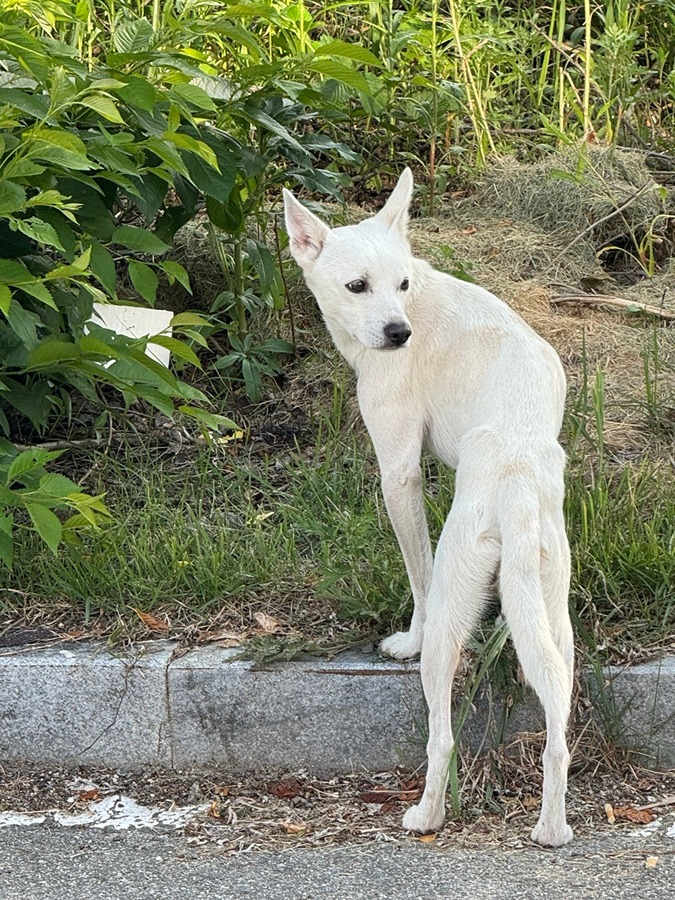 천안 병천쪽 썸네일