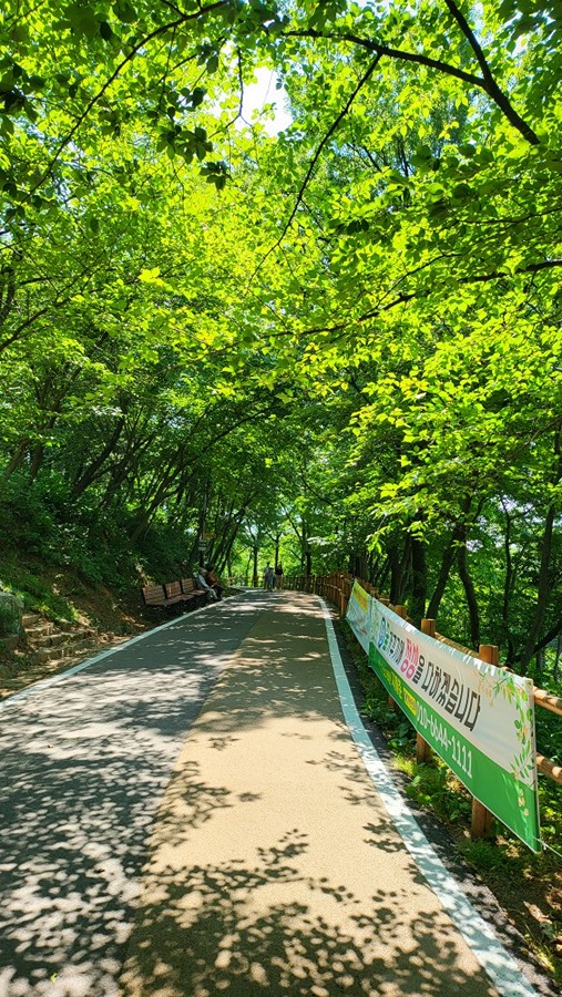 군산 월명공원 1길 썸네일