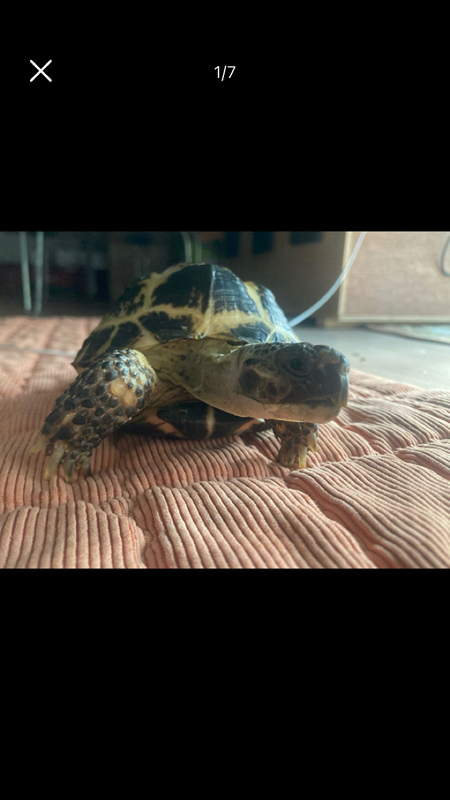 🐢용산역 보드게임🐢 썸네일