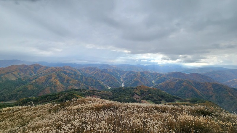 🚨2️⃣0️⃣4️⃣0️⃣초보등산&💯대명산 썸네일