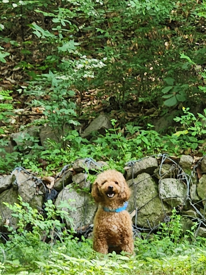 잃어버렸을까요~?저러고 계속있어어  썸네일