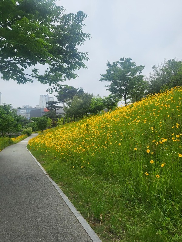 <길따라 천따라>🚶‍♂️🚶‍♀️ 썸네일