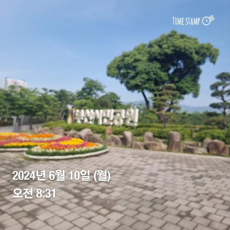 부산시민공원에서 모닝런 하실분? 썸네일
