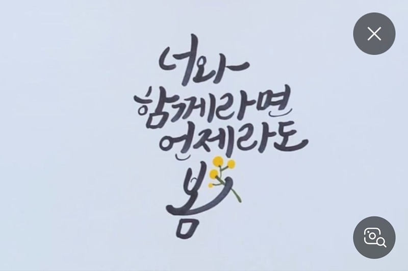 수다가 있는 캘리방🖍🖌