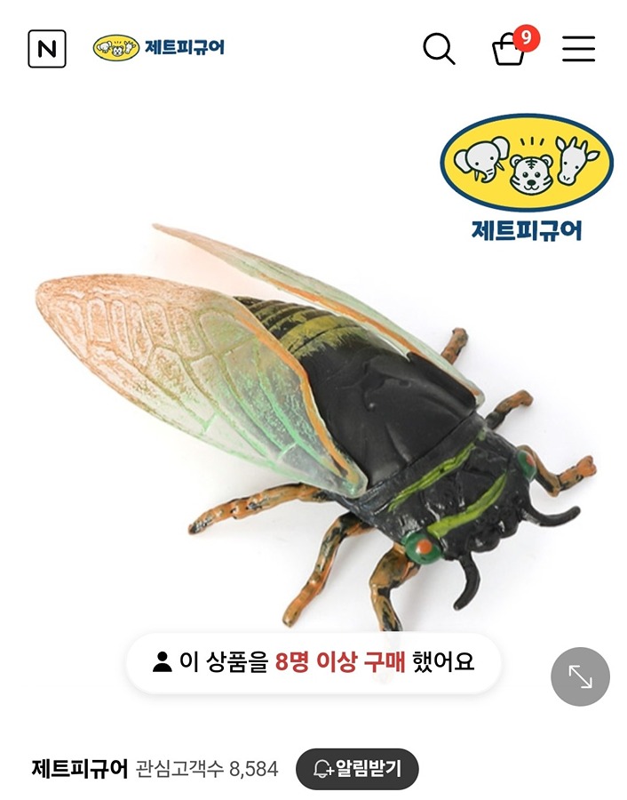 매미 피규어를 찾습니다(팔도시장 맞은편 정류장) 썸네일