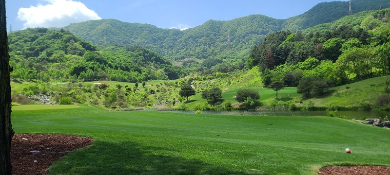 ⛳️골프에 진심인 40대⛳️