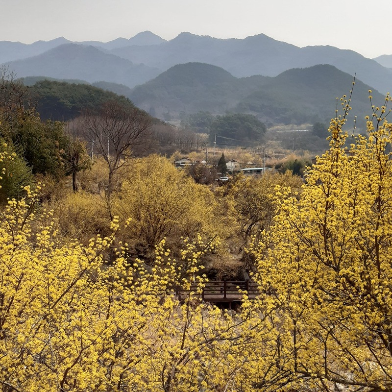 문화여행 썸네일