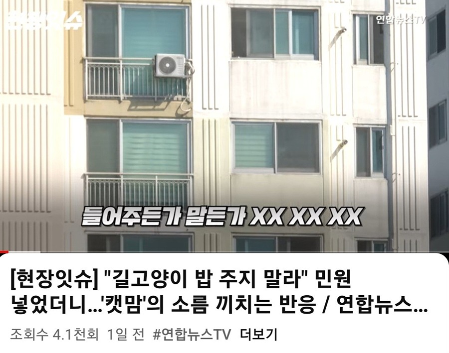 길고양이 문제! 우리 아파트에는 이런 일은 없었으면 합니다. 썸네일