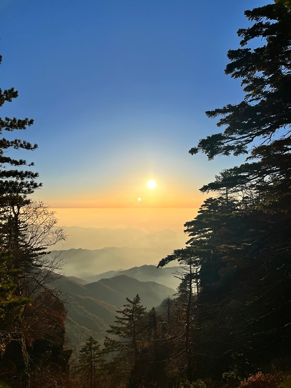 팔용산트레킹♡둘레길 산행