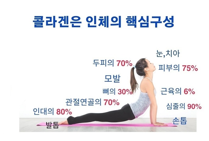 건강과 행복의 네비게이션(건강관심있으신분~)