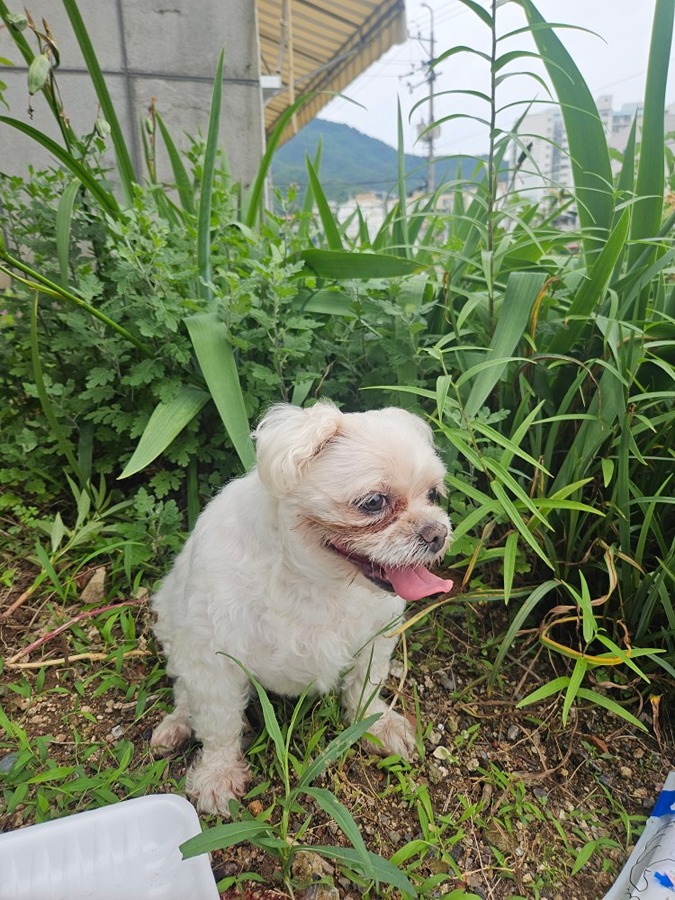 주인찿아요 썸네일