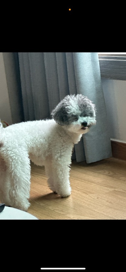 날씨쥬타 썸네일