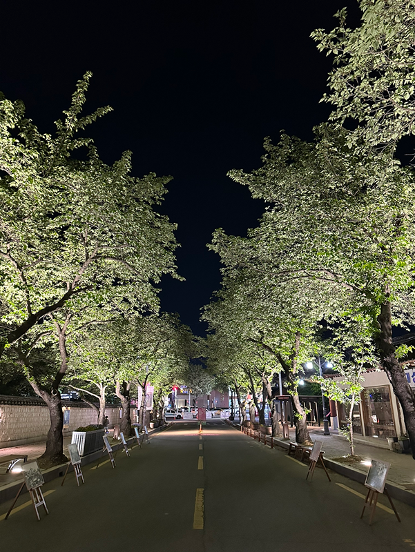 평일 등산 및 트레킹 하실분! 썸네일