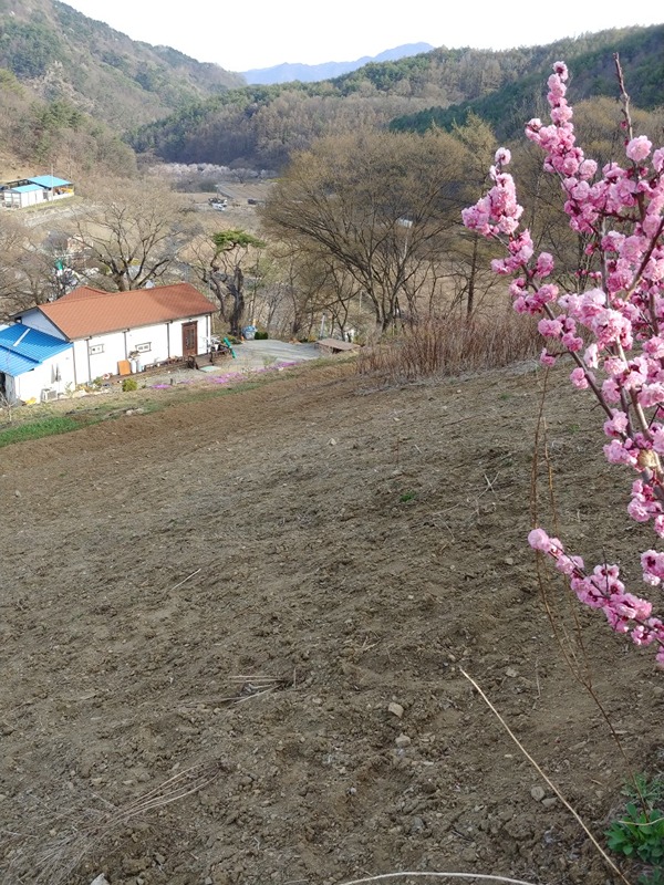 행복한마음 여행갑시다 썸네일