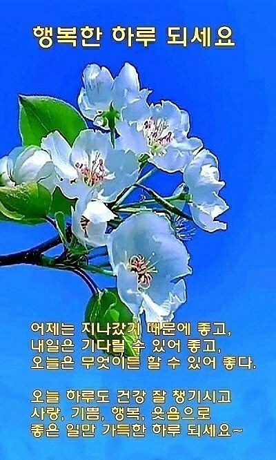 50 ♤60 대의 싱글 이야기 썸네일