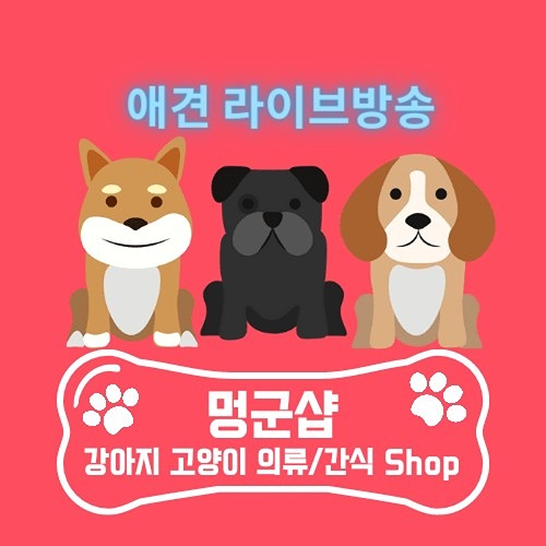 애견의류 최저가 라이브방송♡ 썸네일