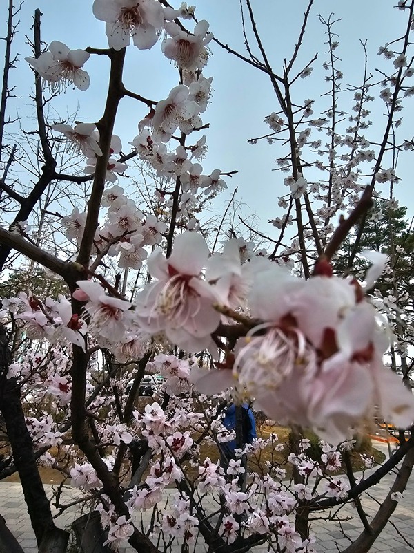 3040 동네친구 인연 썸네일