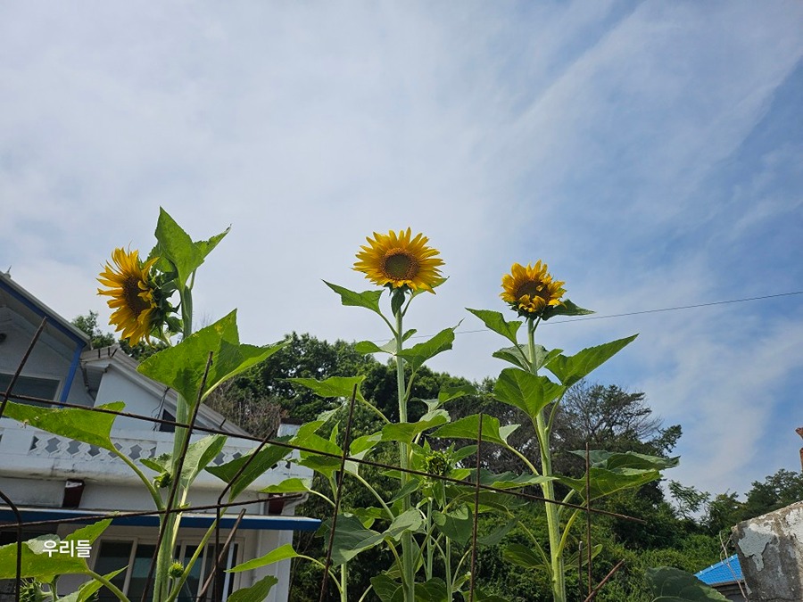 나만 바라봐~~ 썸네일