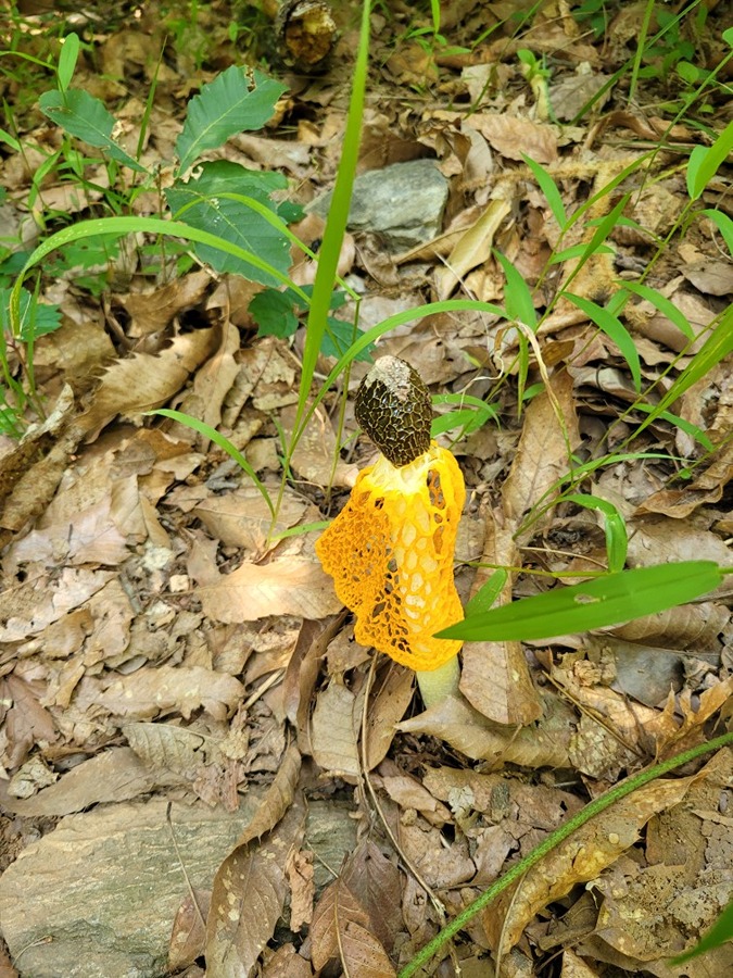 생연동산길에서봐습니다안시분알려주 썸네일