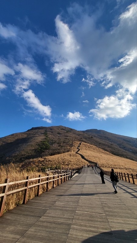 🚶‍♀️4050 한마음 걷기🚶‍♂️트레킹 썸네일