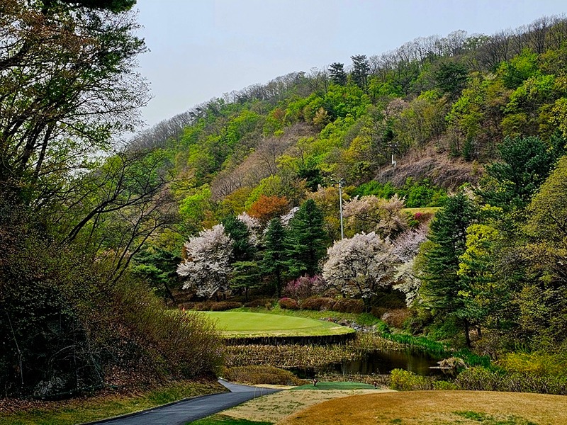 ⛳️샷스크린(장안점) 골프친구 모여용~⛳️ 썸네일