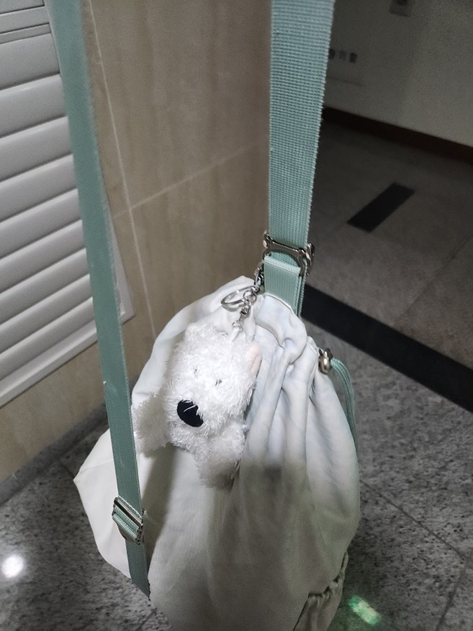 어제 흰색 곰돌이 키링 가방 잃어버리신 썸네일