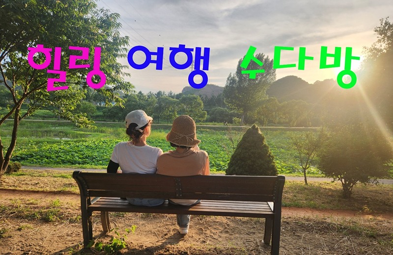 50대들의 힐링 여행 수다방 썸네일