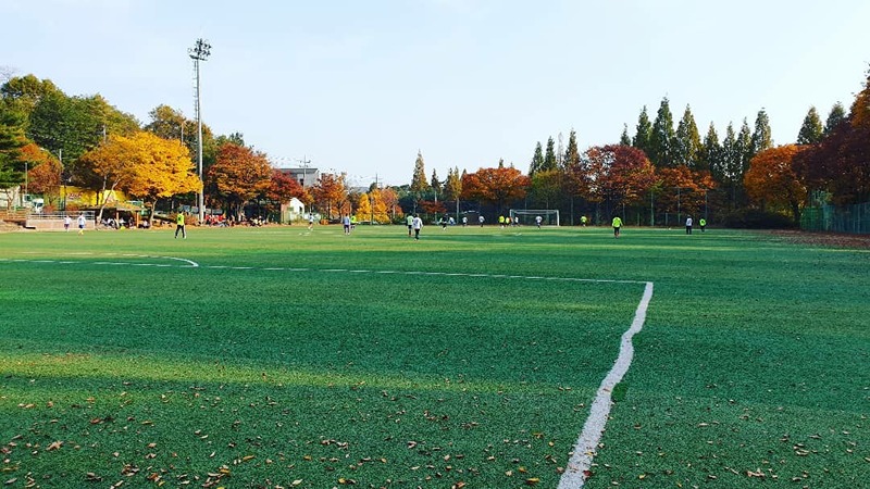 여성 축구팀 모집 썸네일