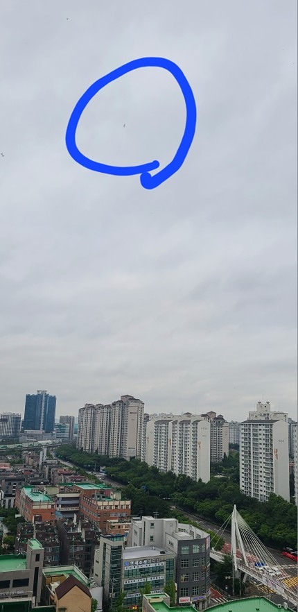러브버그 조심하세요~ 썸네일