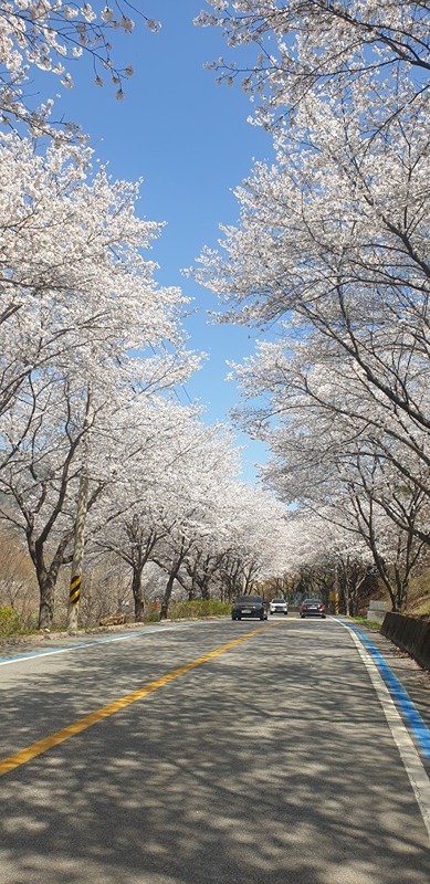 ♡천년지애♡ 40살~59살까지만 썸네일