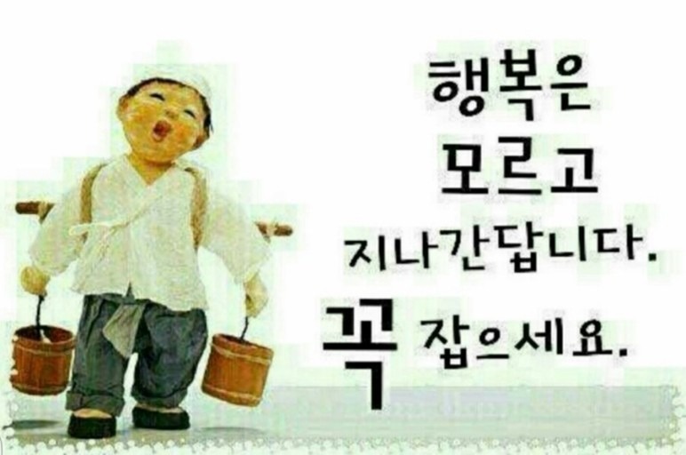 50대들의 즐거운 대화방 썸네일