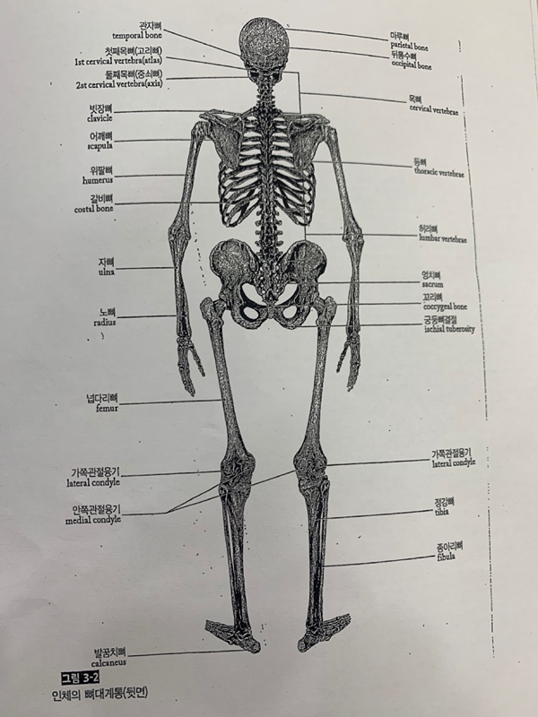 방학때 헬스 썸네일