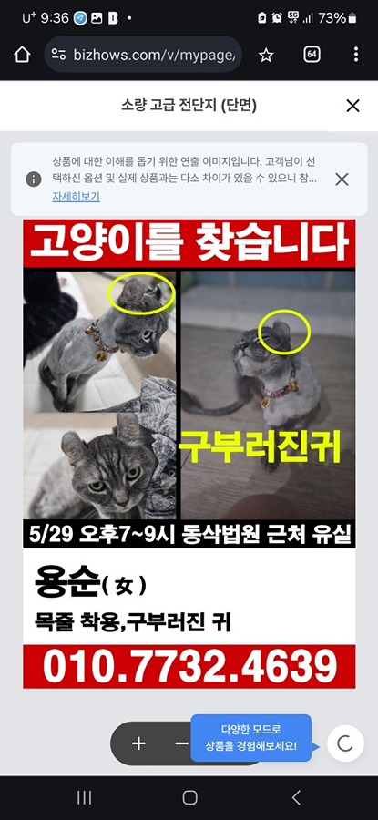 고양이를 찾습니다 썸네일