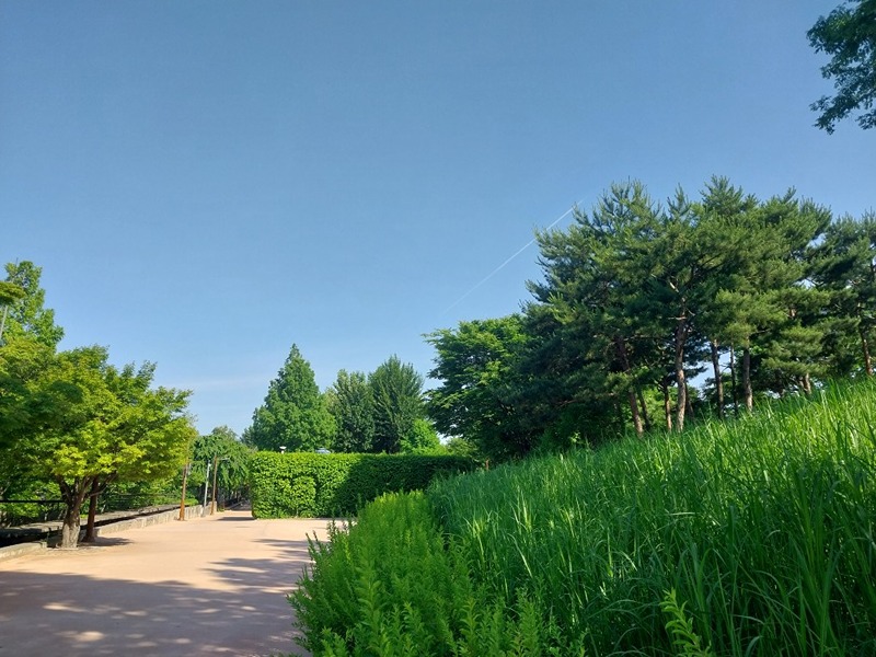 선유로운 힐링타임🌈(산책 & 피크닉) 썸네일