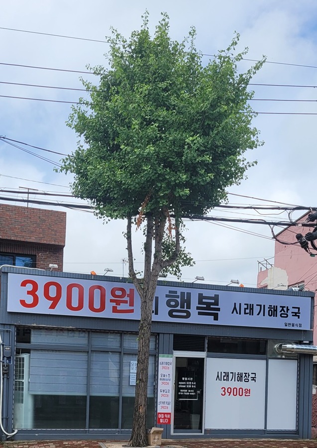 3,900원ㅎㄷㄷ감동~행복~ 썸네일