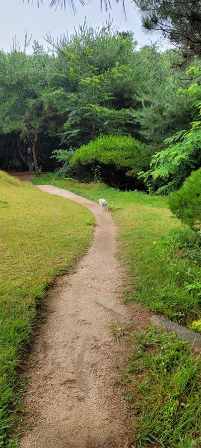 수락산 둘레길 썸네일