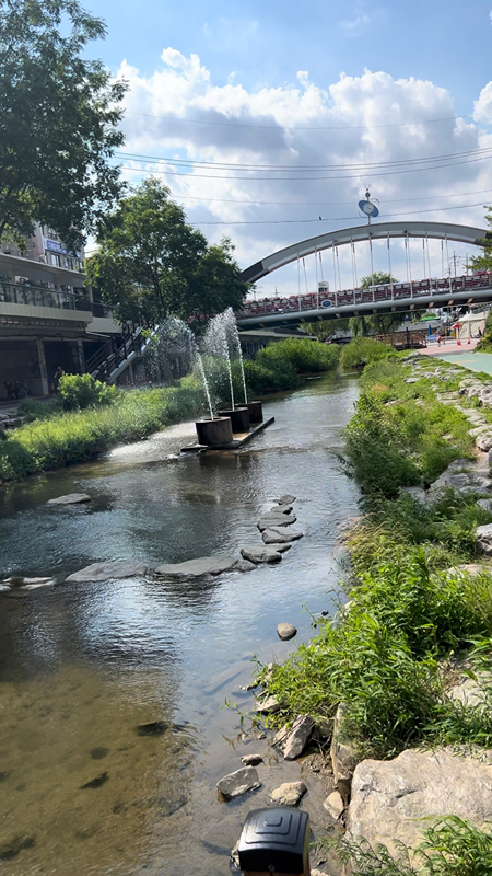 도림천 운동 인증 크루 🏃🚴🏋️