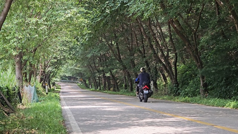 스쿠터 모토캠핑 여행 썸네일