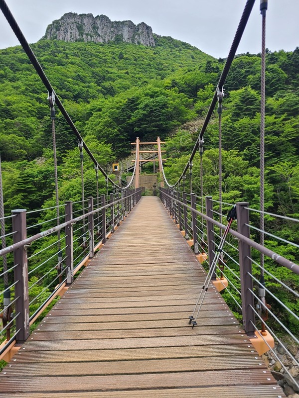 서울시내 도심 야간등산 모임 썸네일