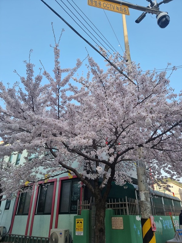 교촌동 동네친구 썸네일