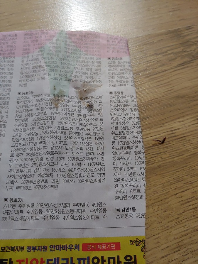 앞에 바퀴벌레 때문에 고생하신분 썸네일