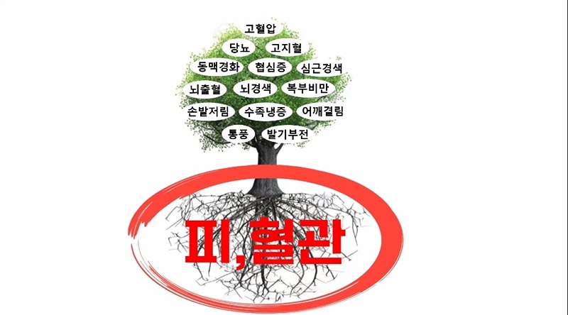 고혈압/당뇨/고지혈/다이어트/인슐린저항성/ 썸네일