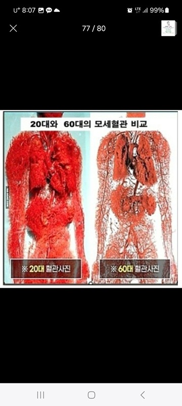 건강.당뇨.피부.두피 .소자본 창업 모임 썸네일