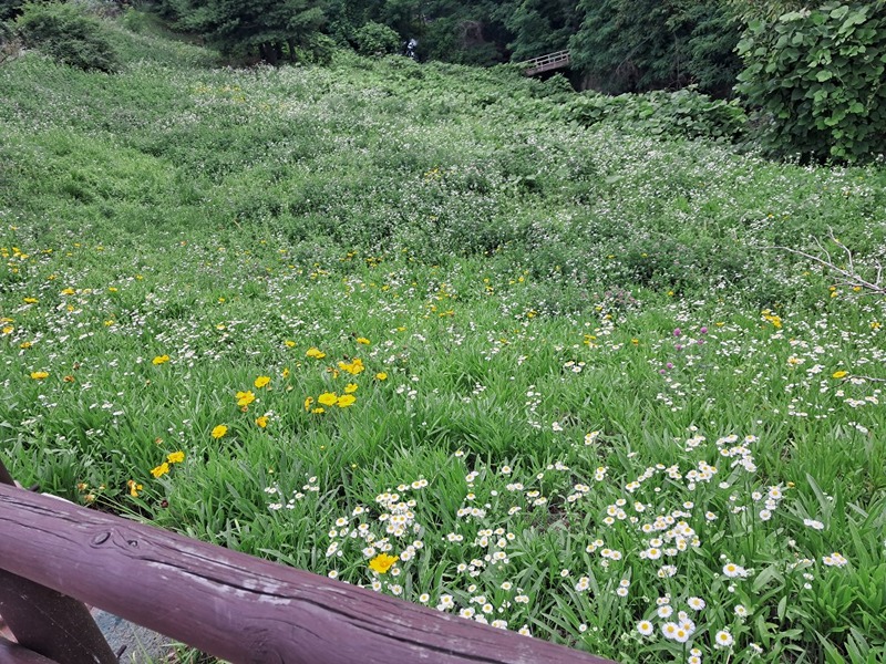 불곡산 가볍게(여성모임) 썸네일