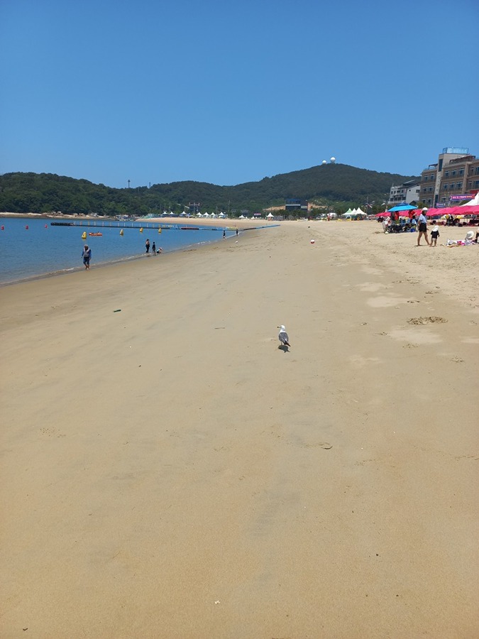 왕산 해수욕장 썸네일