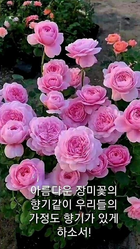 행복한모임방 썸네일
