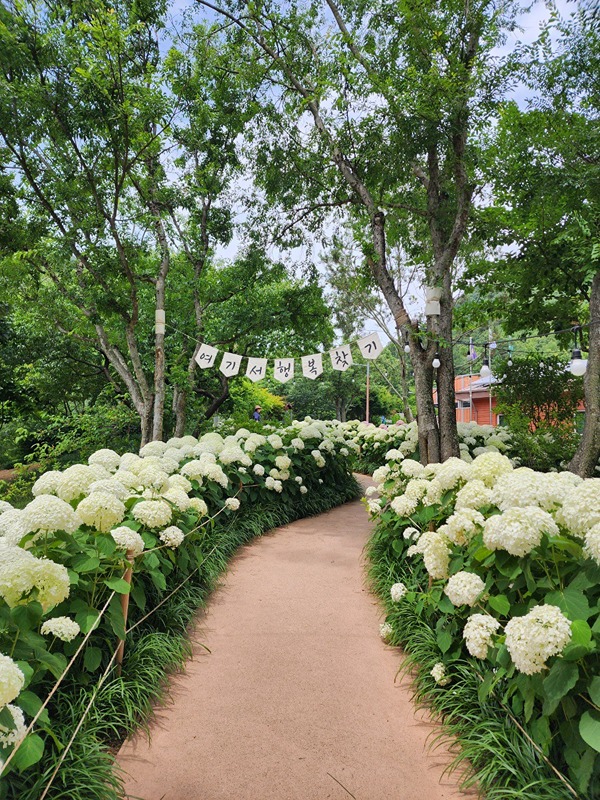 관광지나  축제장여행 트레킹등