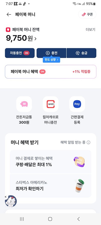 페이북머니 이거뭐여요? 썸네일