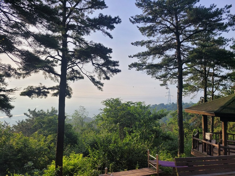 대전송강관평등산모임 썸네일
