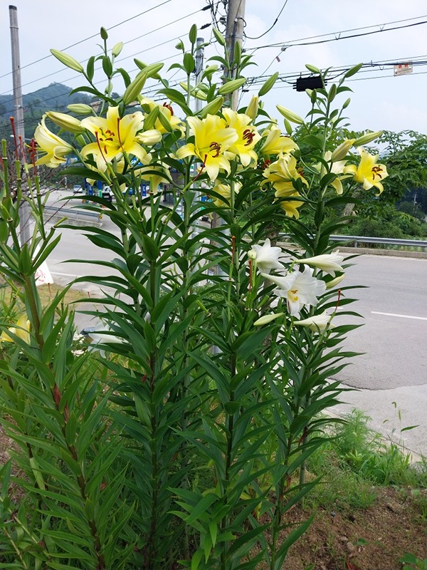 올 환갑쟁이 여성모임 썸네일